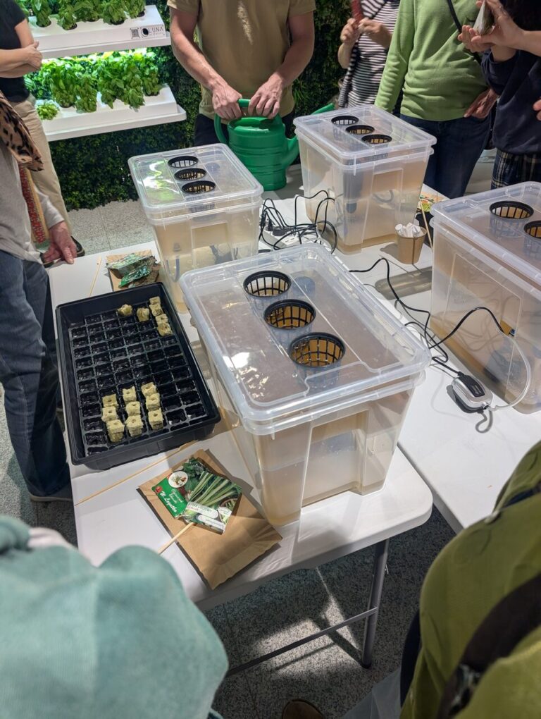 warsztaty – hydroponika