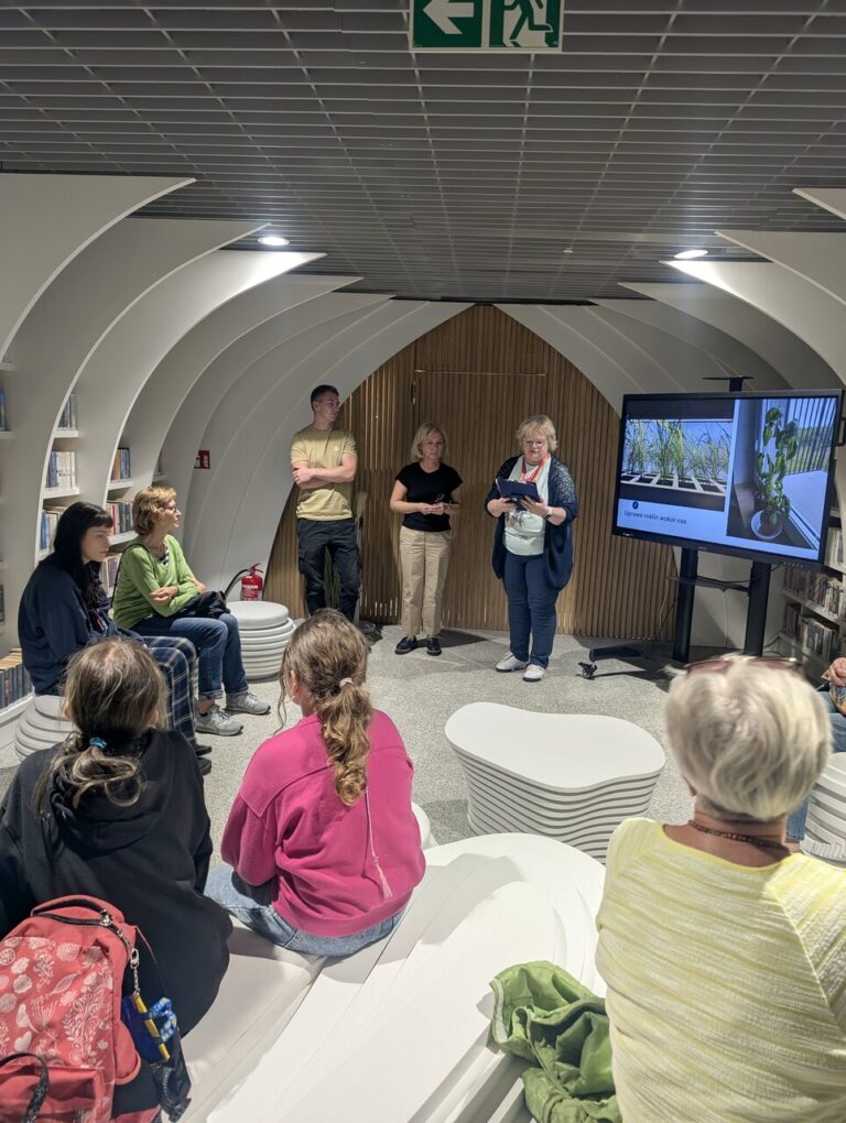 warsztaty – hydroponika