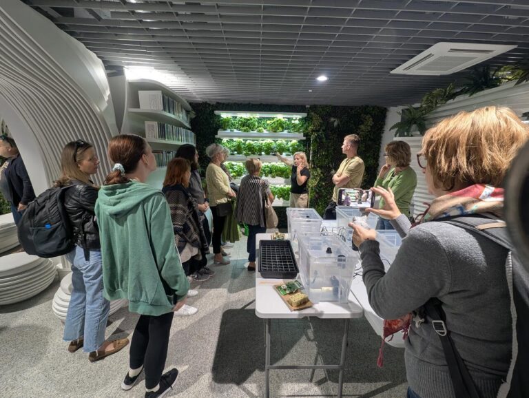 warsztaty – hydroponika