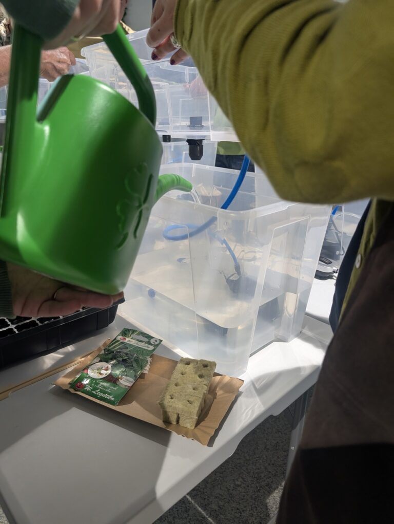 warsztaty – hydroponika