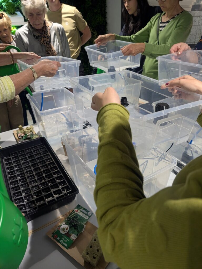 warsztaty – hydroponika