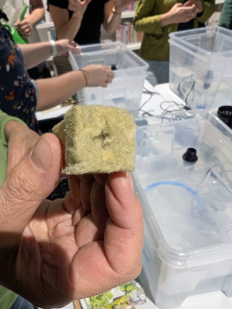 warsztaty – hydroponika