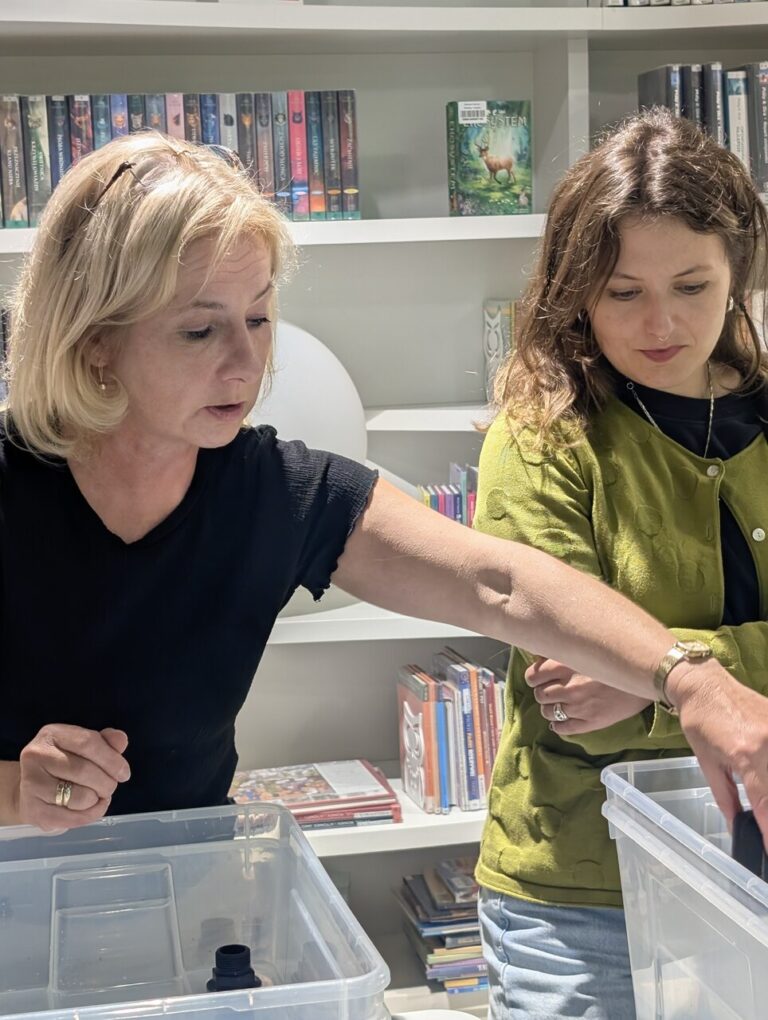 warsztaty – hydroponika