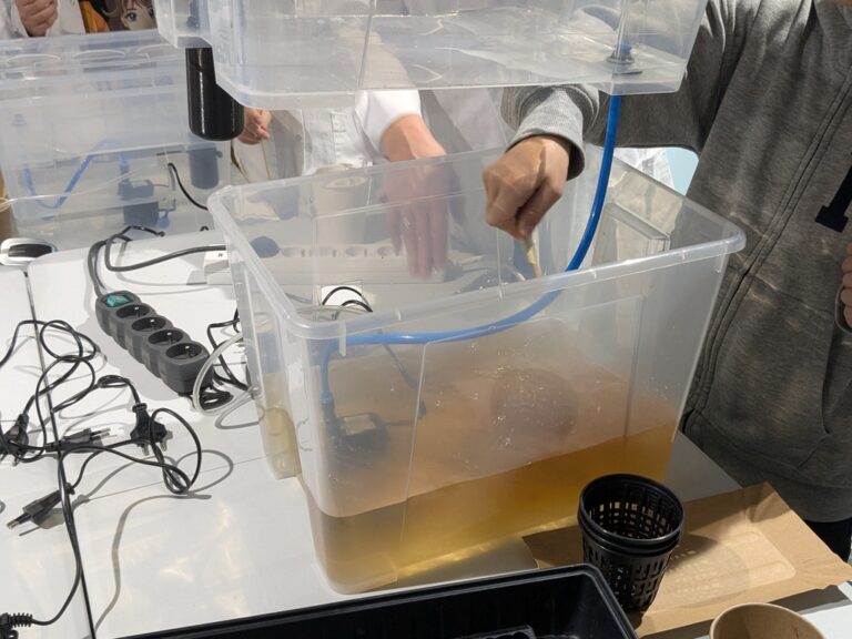 hydroponika w Metrotece - warsztaty