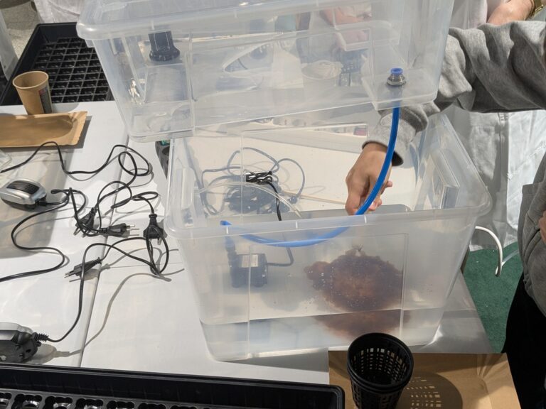 hydroponika w Metrotece - warsztaty