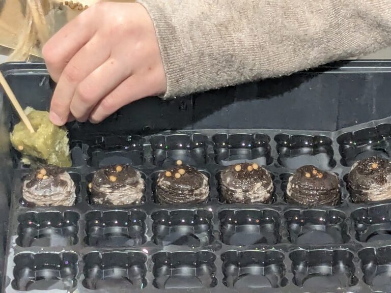 hydroponika w Metrotece - warsztaty