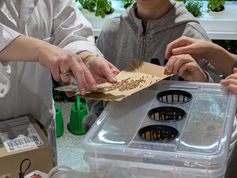 hydroponika w Metrotece - warsztaty