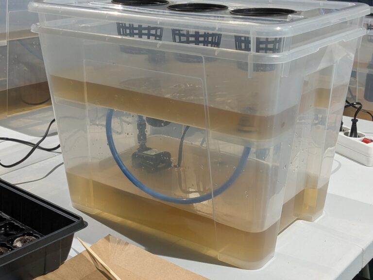 hydroponika w Metrotece - warsztaty