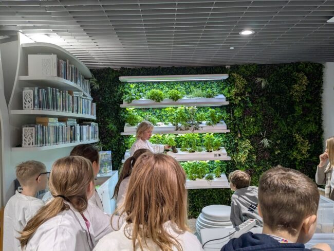 hydroponika w Metrotece - warsztaty