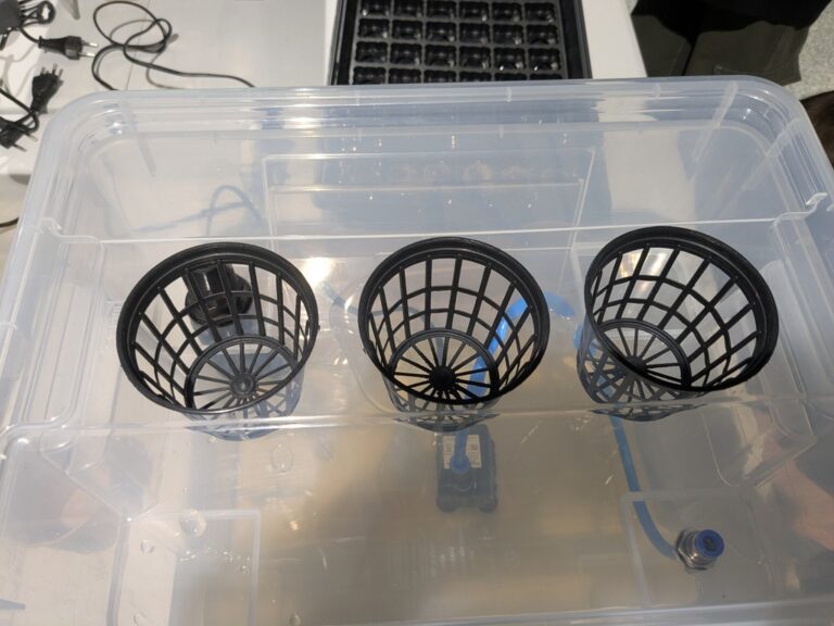 hydroponika w Metrotece - warsztaty