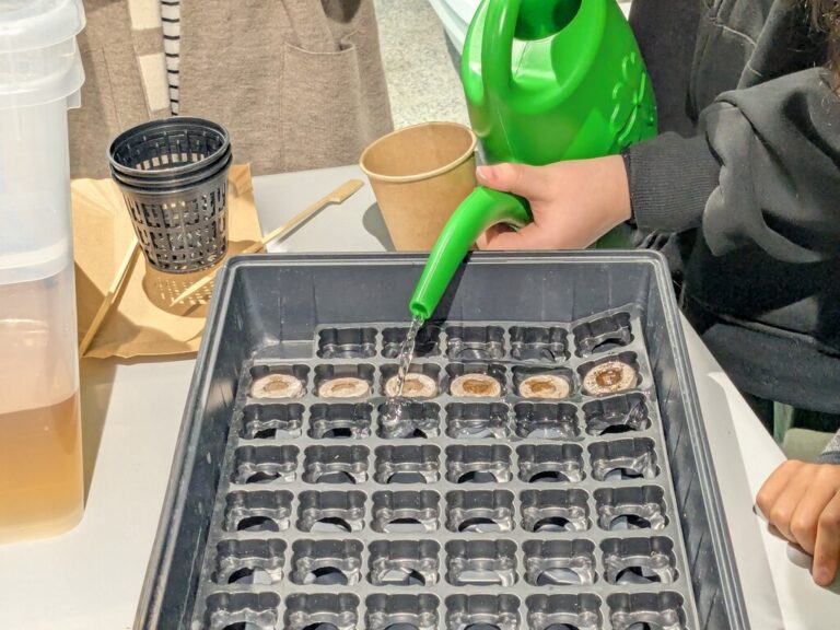 hydroponika w Metrotece - warsztaty