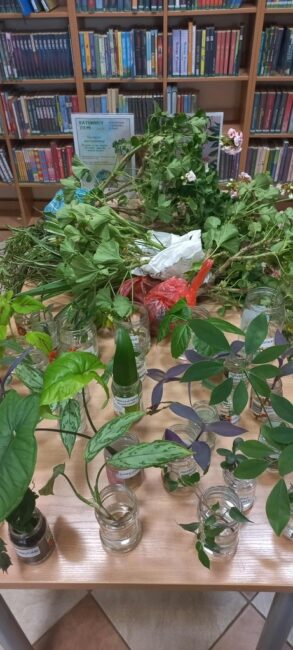 plantcrossing w bibliotece