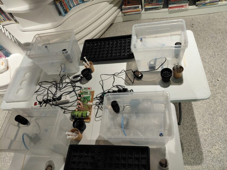 warsztaty hydroponiczne dla dzieci