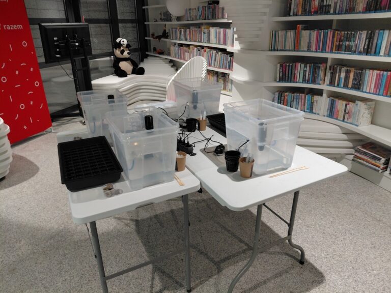 warsztaty hydroponiczne dla dzieci