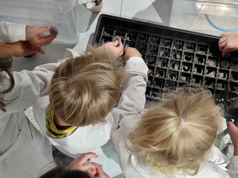 warsztaty hydroponiczne dla dzieci