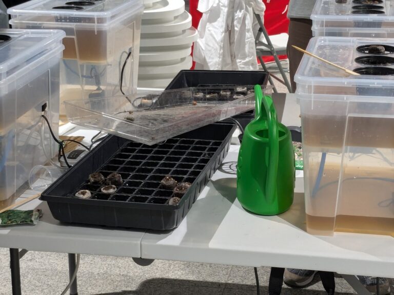 warsztaty hydroponiczne w Metrotece