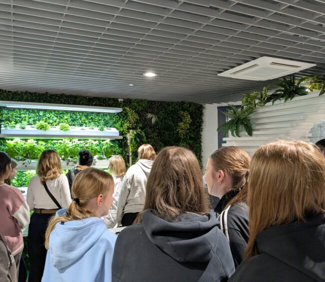 warsztaty hydroponiczne w Metrotece