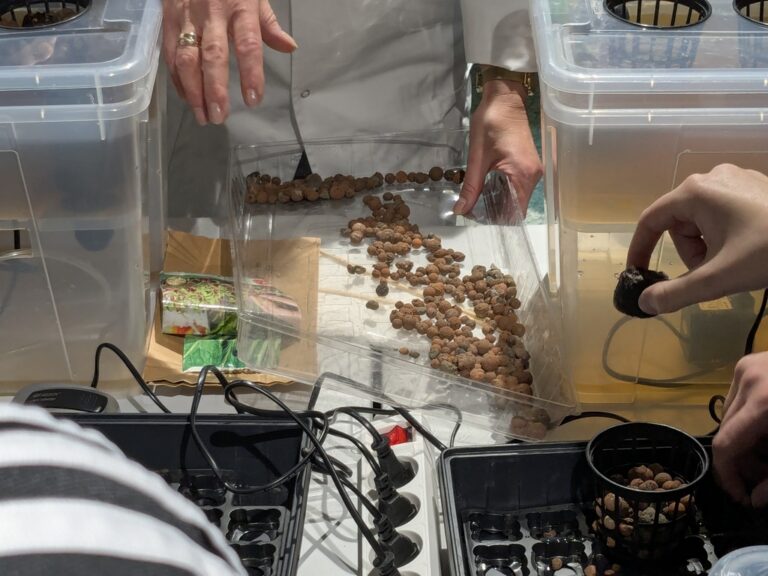 warsztaty hydroponiczne w Metrotece