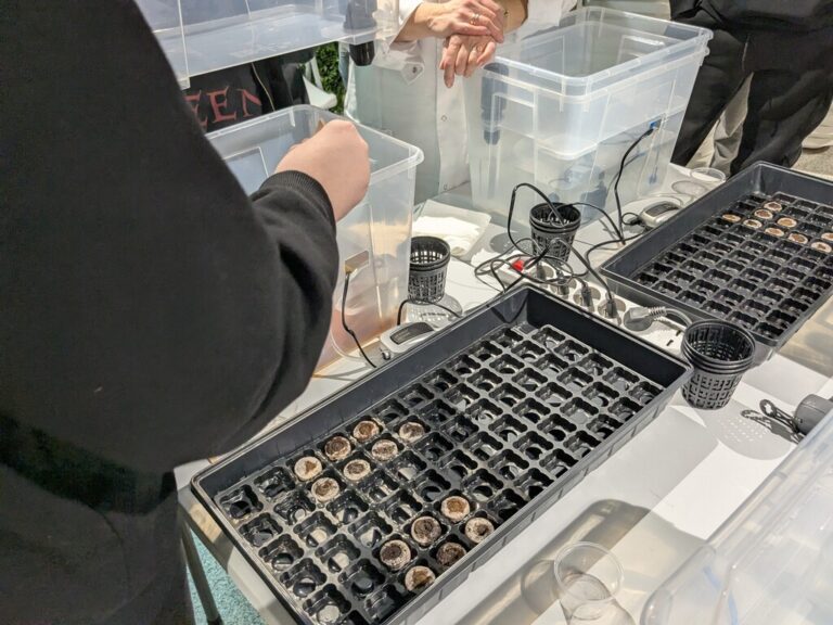 warsztaty hydroponiczne w Metrotece