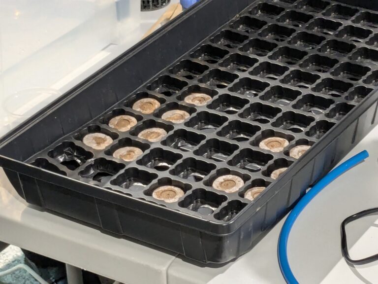 warsztaty hydroponiczne w Metrotece