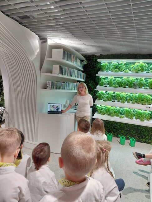 warsztaty hydroponiki