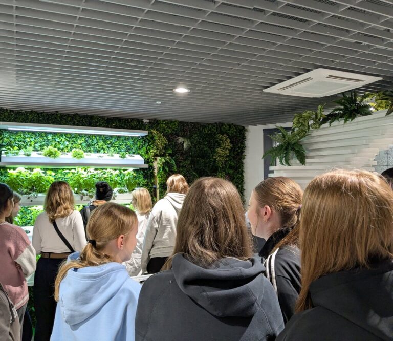 warsztaty hydroponiki