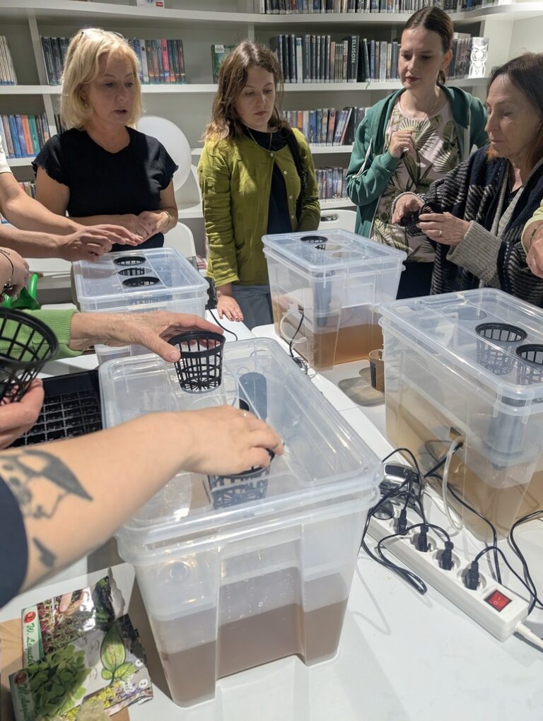 warsztaty hydroponiki