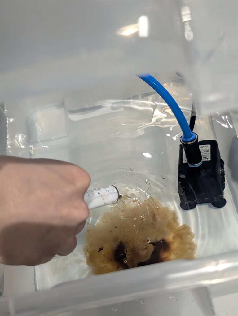 warsztaty hydroponiki