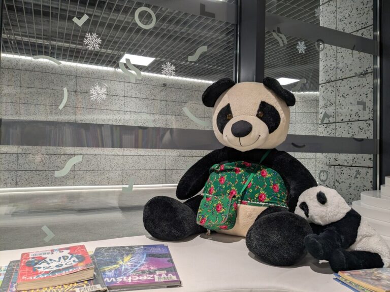 karnawałowe spotkanie z Pandą Wandą w Metrotece