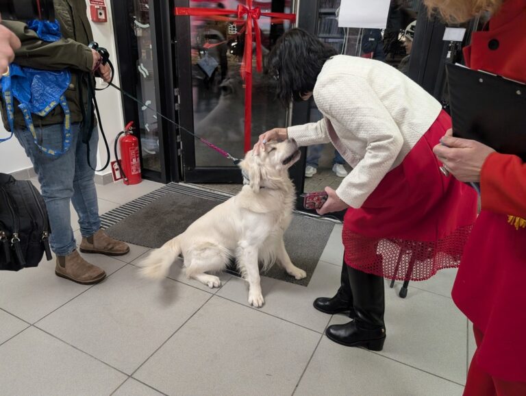 otwarcie WIlnoteki - biblioteki na osiedlu Wilno