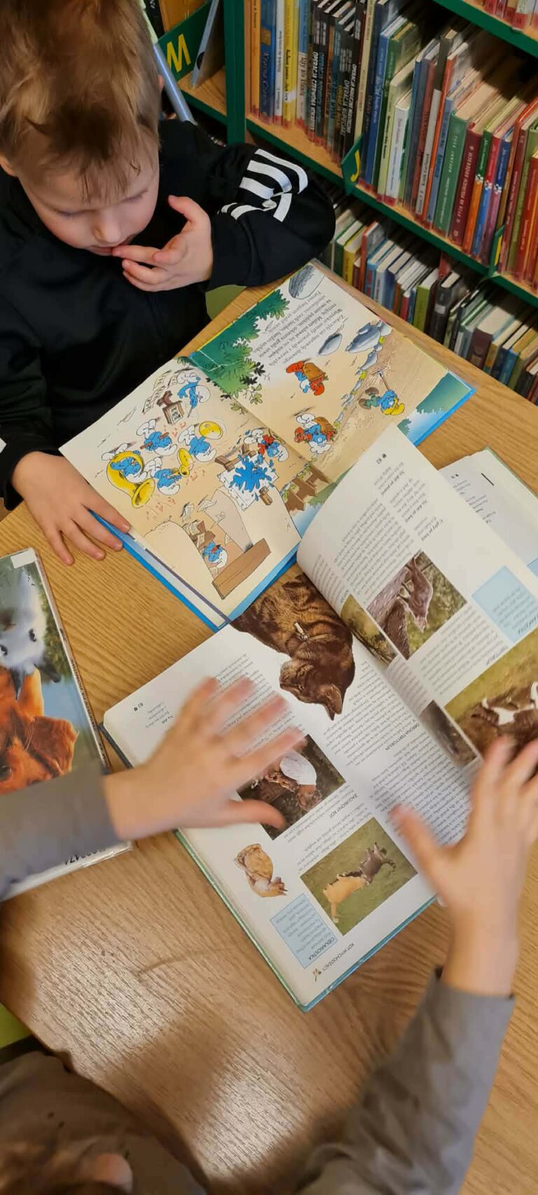 zajęcia biblioteczne dla dzieci