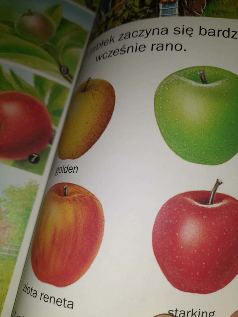 jabłko lekcja