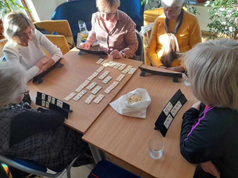 kilka osób gra w rummikub
