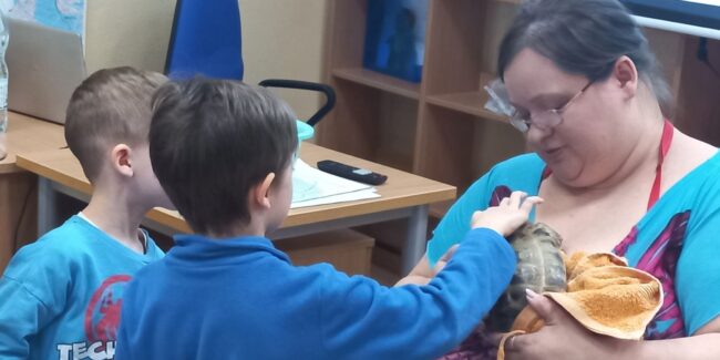 żółw w bibliotece