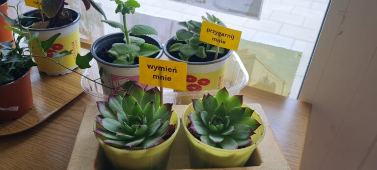 rośliny w bibliotece, obok nich napisy: przygarnij mnie, wymień mnie